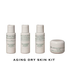 Aging Dry Skin  Kit 